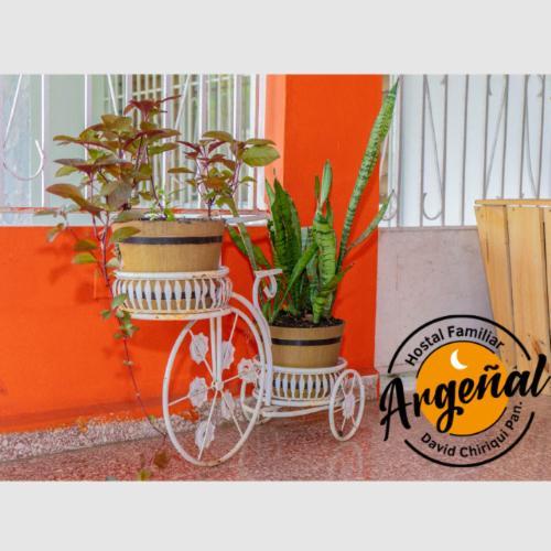 Hostal Familiar Argenal - David Kültér fotó